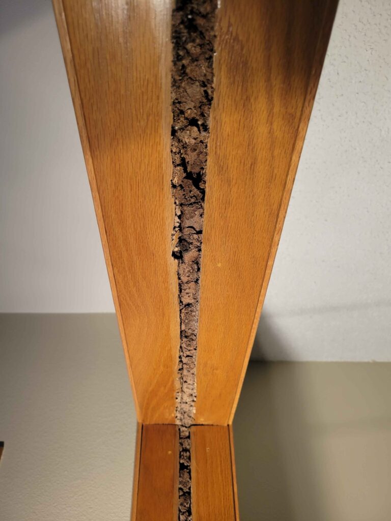 Damaged wood with exposed termite galleries and earthen material