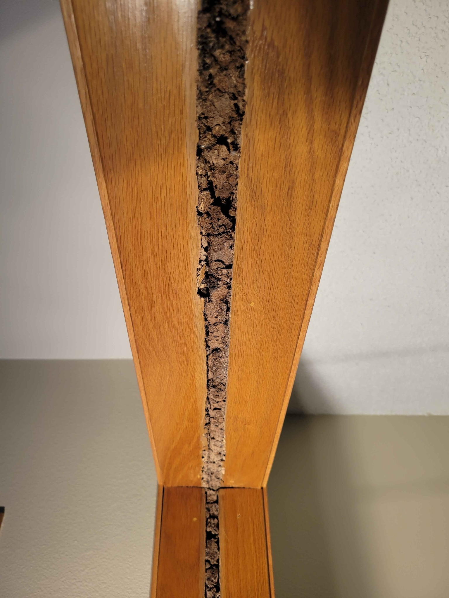 Termite-damaged wood opened to show mud-packed galleries