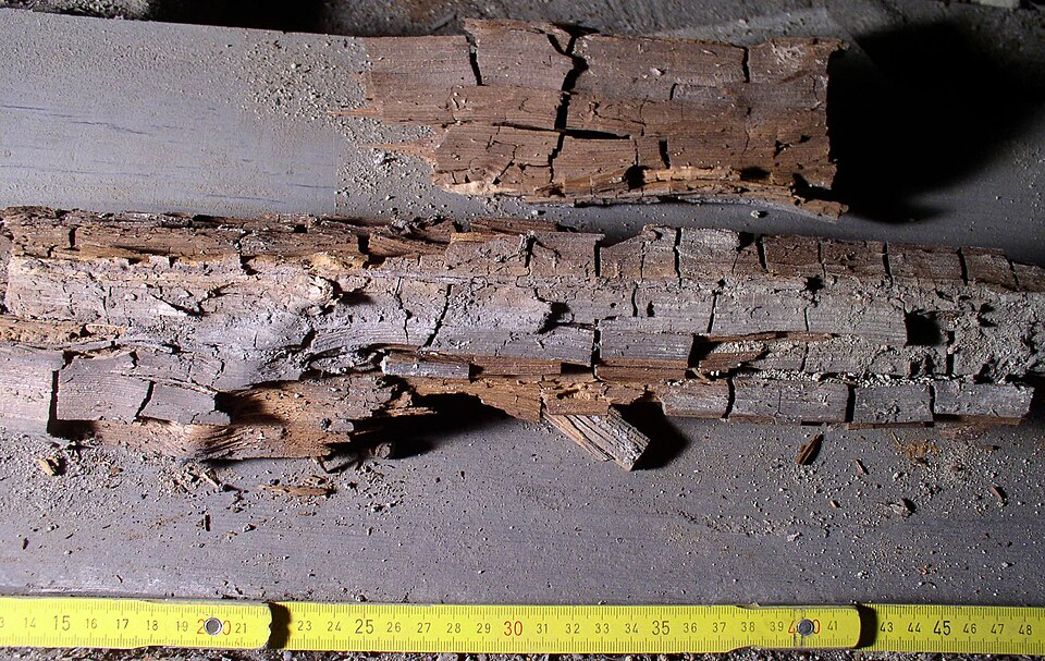 Water-damaged wood with brown rot cracking into cube-like pieces across the grain