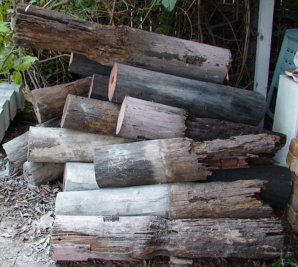 Wooden structural posts with extensive termite damage in the formerly buried sections